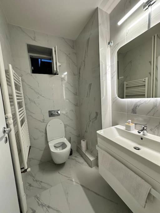 Ultracentral Luxury Apartament Timişoara Exterior foto